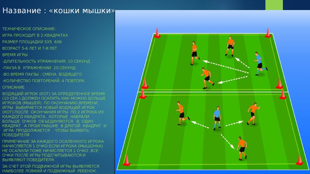 Как называются атакующие. Игра кошки мышки описание. Описание игры. Сообщение о игре кошки мышки. Как играть в кошки мышки правила игры.