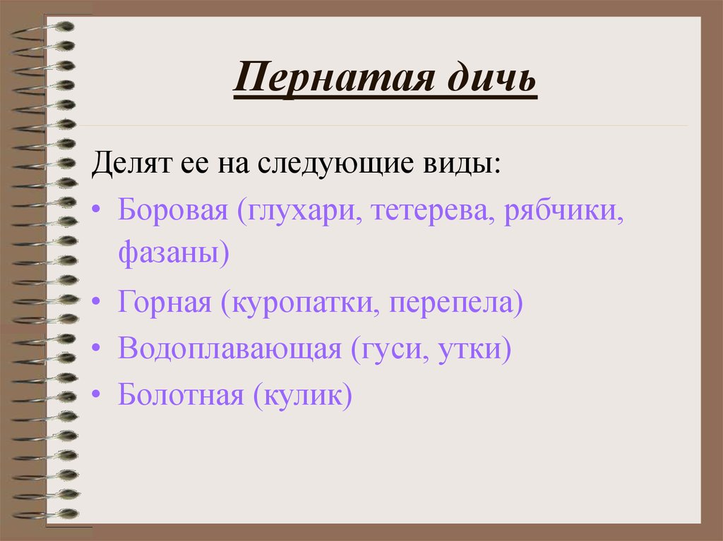 Дичь презентация. Классификация пернатой дичи. Пернатая дичь виды. Классификация мяса диких животных. Дичь определение.