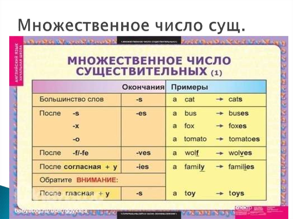 Meat множественное число. Существительные во множественном числе в английском языке. Множественное число имени существительного в английском языке. Окончания множественного числа существительных в английском. Правила множественного числа в английском языке.