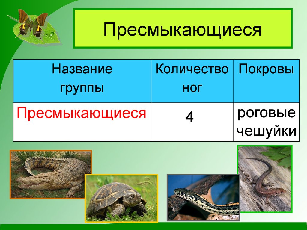 Окружающий мир какие бывают животные 2 класс презентация