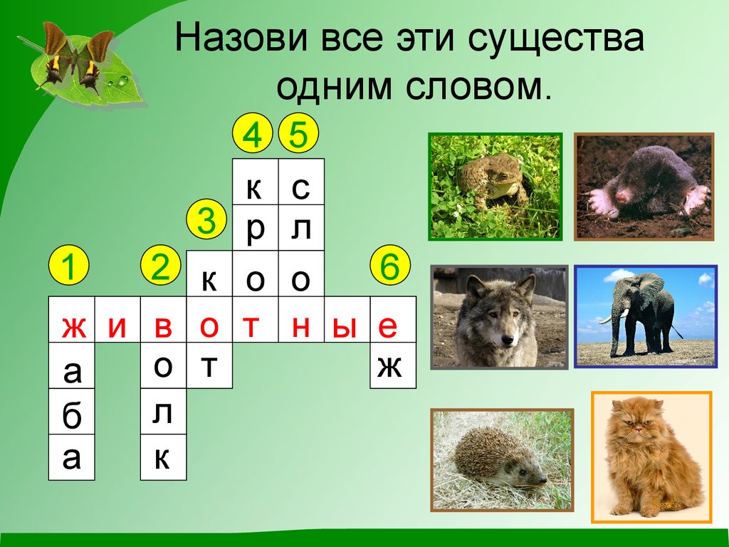 Животный мир какой ответ. Кроссворд на тему животные. Кроссворд животный мир. Кроссворд на тему животных. Кроссворд на тему животные 2 класс.