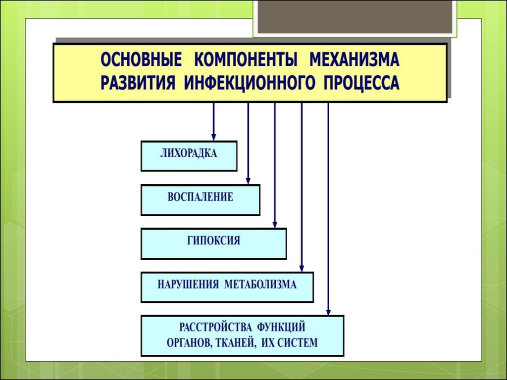 Патофизиология инфекционного процесса презентация