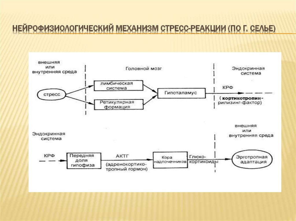 Схема стресс реализующей системы