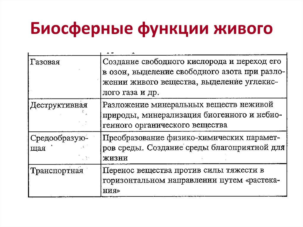 Функции биосферы