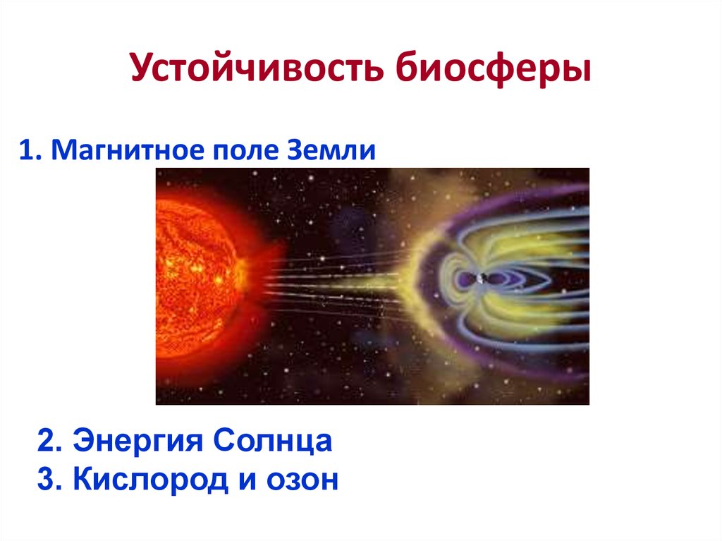 Учение о биосфере презентация 10 класс презентация