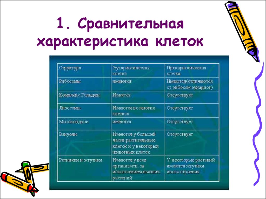 Дайте характеристику клетки. Сравнительная характеристика клеток кожицы лука и листа элодеи. Клетки лука и элодеи сравнительная характеристика. Клетки кожицы лука и листа элодеи. Сравнение клеток кожицы лука и листа элодеи.