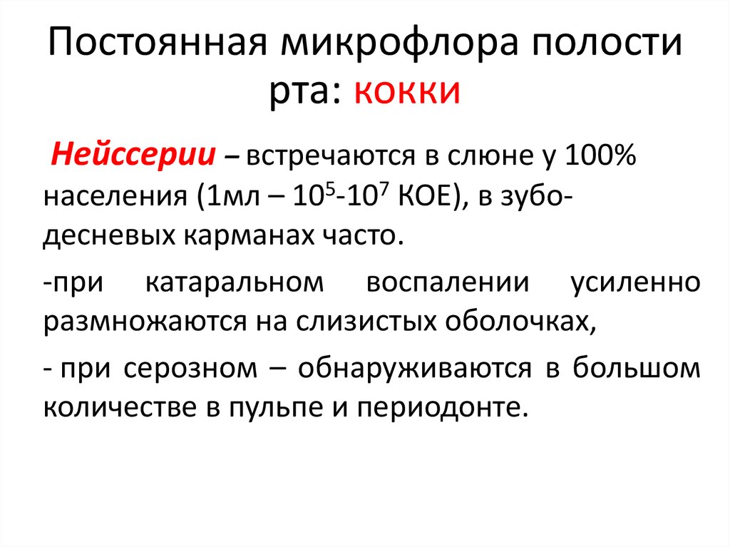 Презентация на тему микрофлора полости рта