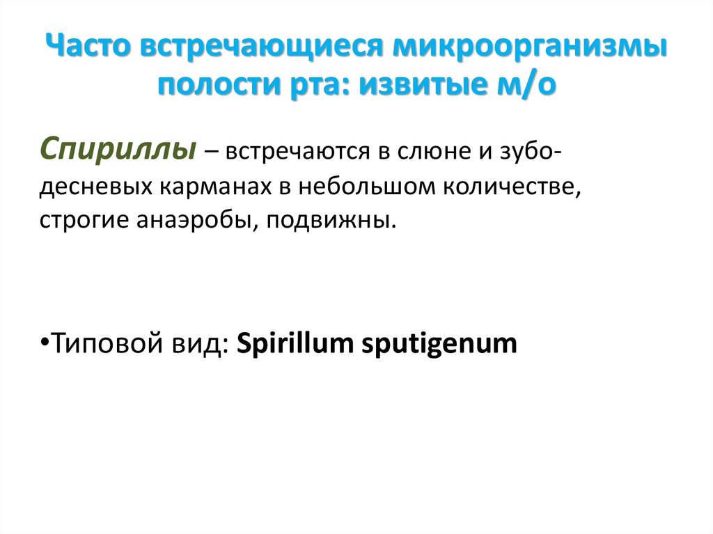 Презентация на тему микрофлора полости рта