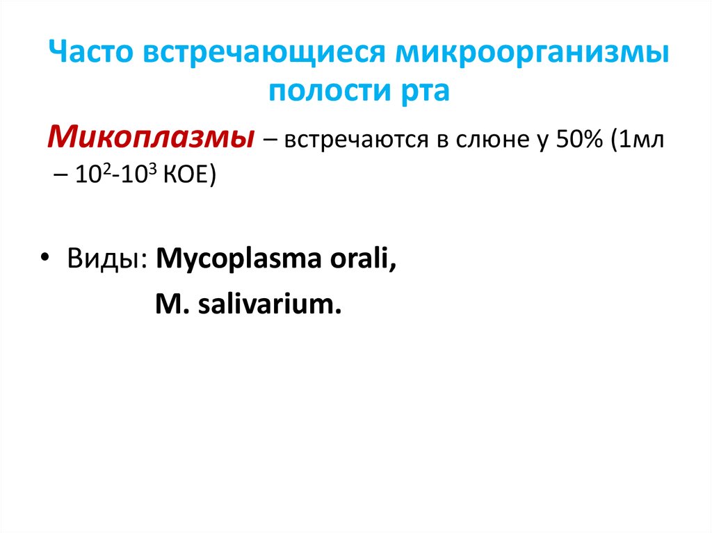 Микрофлора полости рта презентация