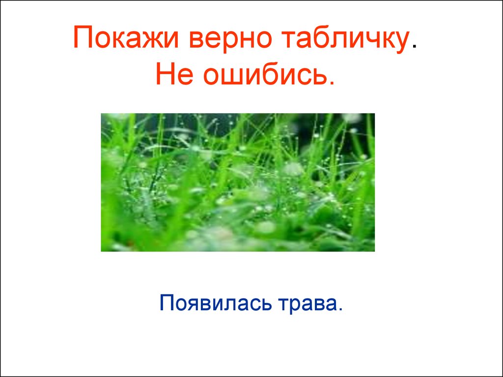 Показывай верно. Как появилась трава. Когда появилась трава.