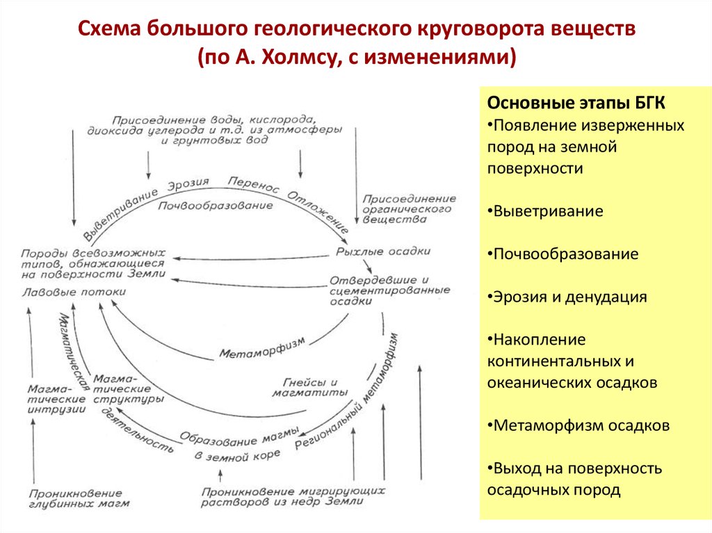 Биохимический цикл схема