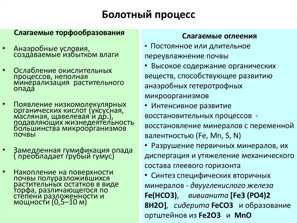 Болотный процесс. Болотный процесс почвообразования. Условия почвообразования болотных почв. Болотные торфяно \почвы условия почвообразования. Сущность процесса почвообразования.