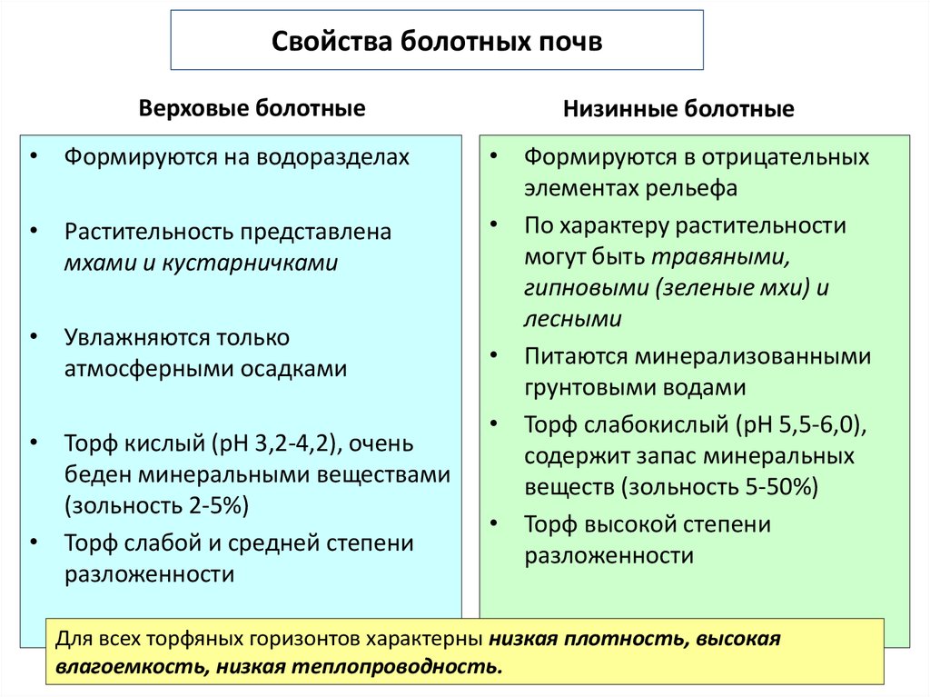 Болотный тип почвы