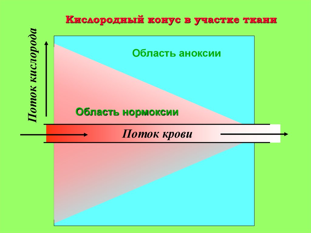 Участки ткани. Кислородный конус. Нормоксия аноксия кислородный конус. Схема кислородного конуса. Кислородный конус патофизиология.