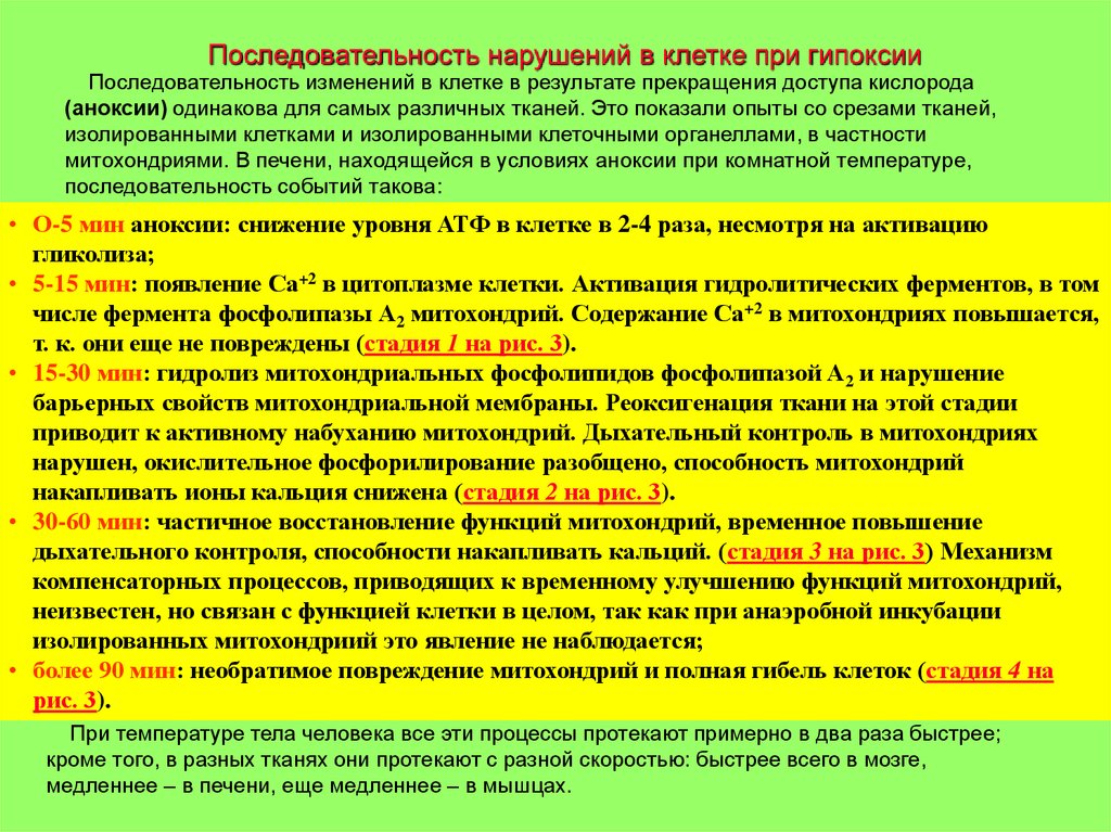 Нарушения клетки. Нарушения в клетках при гипоксии. Последовательность нарушений в клетке при гипоксии. Изменения в клетке при гипоксии. Механизмы повреждения клеток при гипоксии.