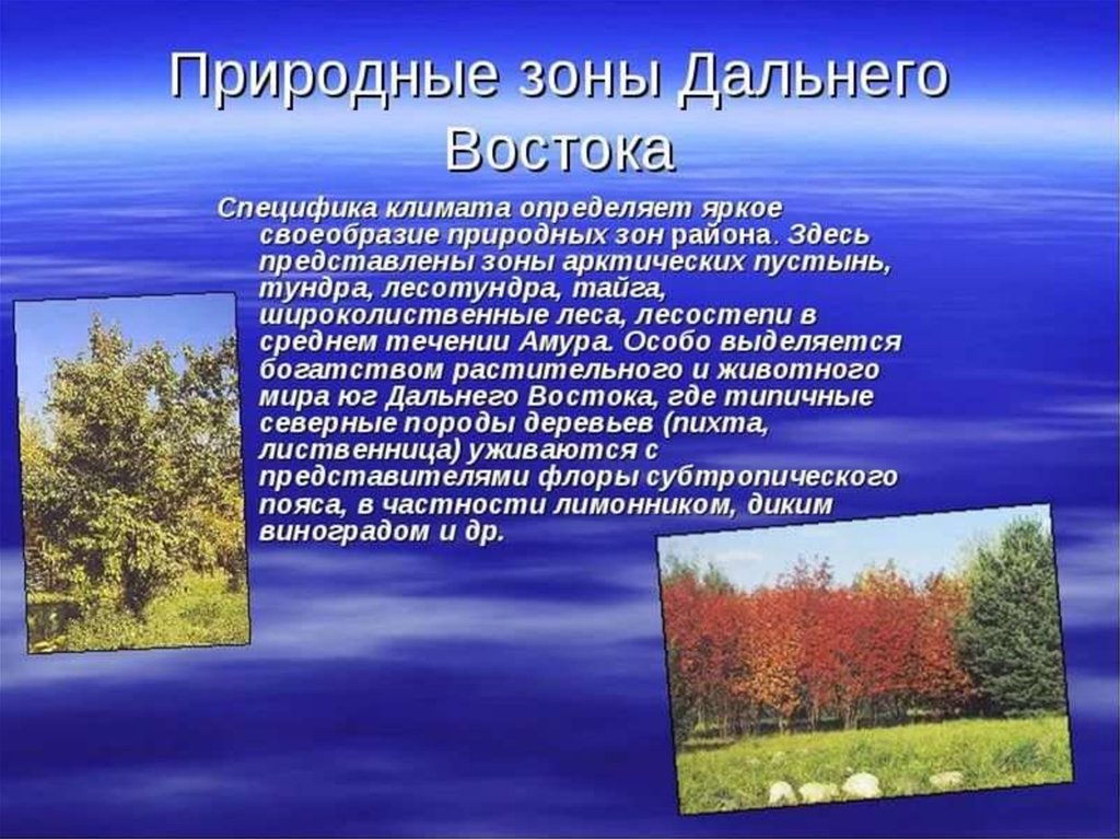 Особенности природы условия. Природные зоны дальнего Востока. Природная зона смешанные леса дальнего Востока. Зона дальнего Востока. Природные зоны дальнего Востока России.