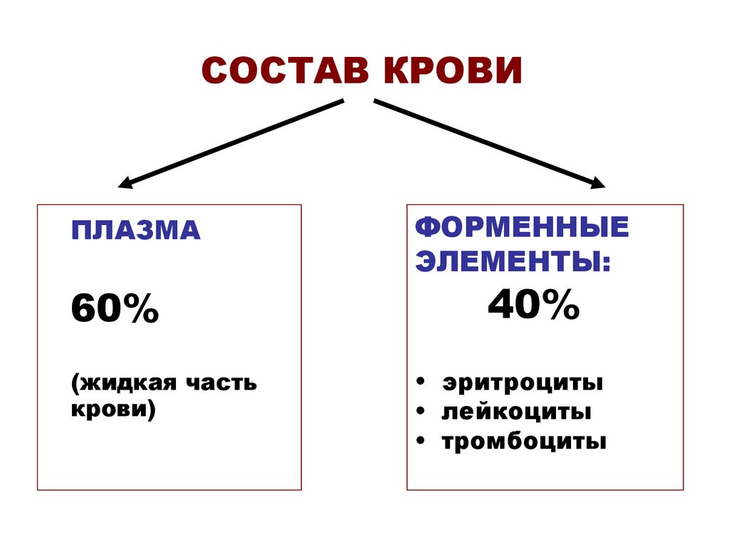 Состав крови схема 7 класс