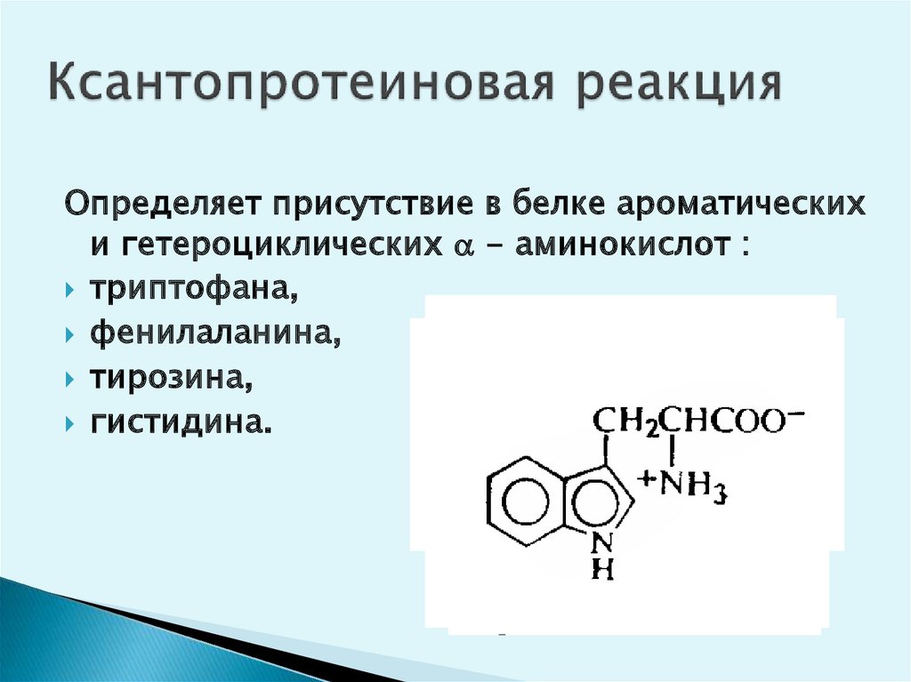 Ксантопротеиновая реакция рисунок