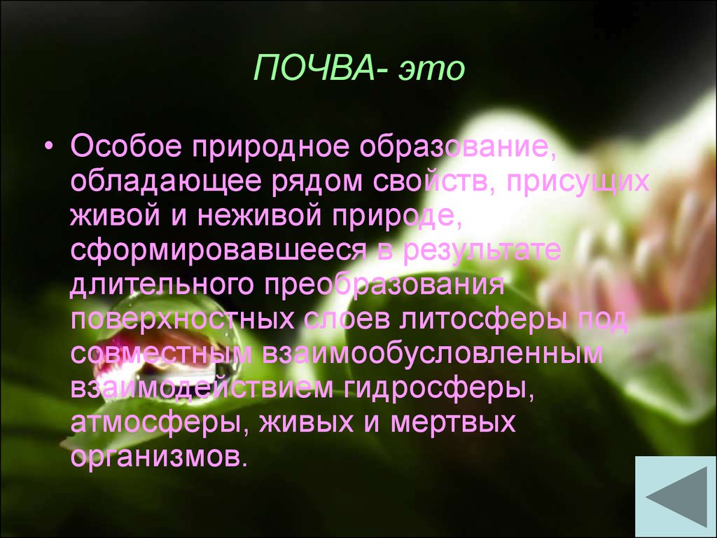 Естественно особо. Почва особое природное образование. Образование обладает свойствами:.