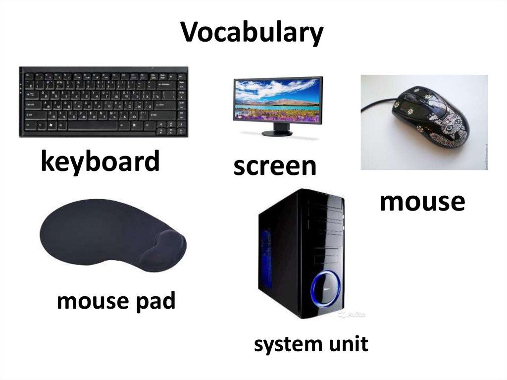 Vocabulary