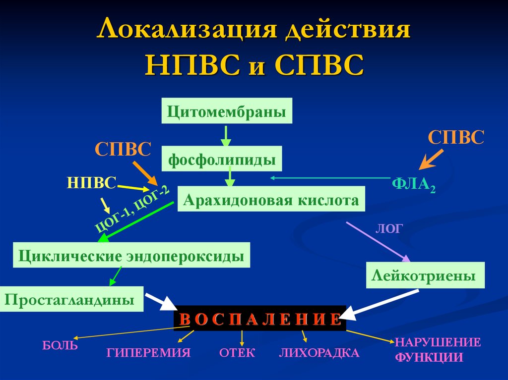 Механизм действия нпвс схема