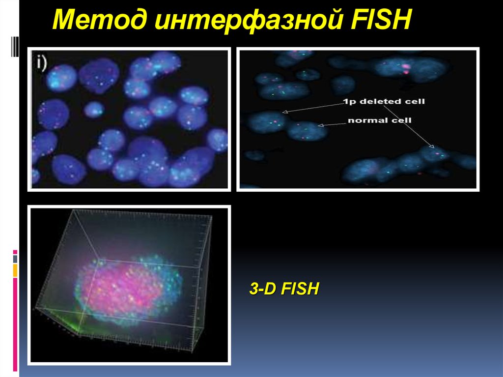 Fish method. Fish метод диагностики генетика. Метод фиша. Методика Фиш. Метод Fish анализа.