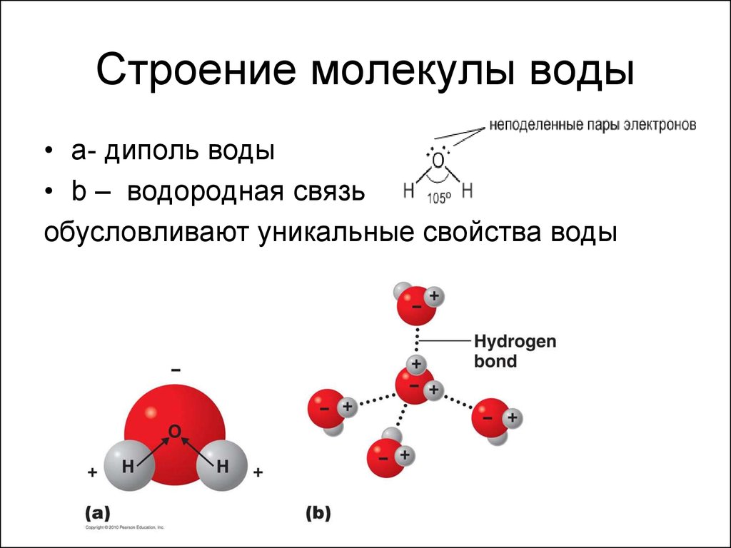 Реферат: Особенность химического состава природных вод. Внутренняя структура молекул воды. Физические сво