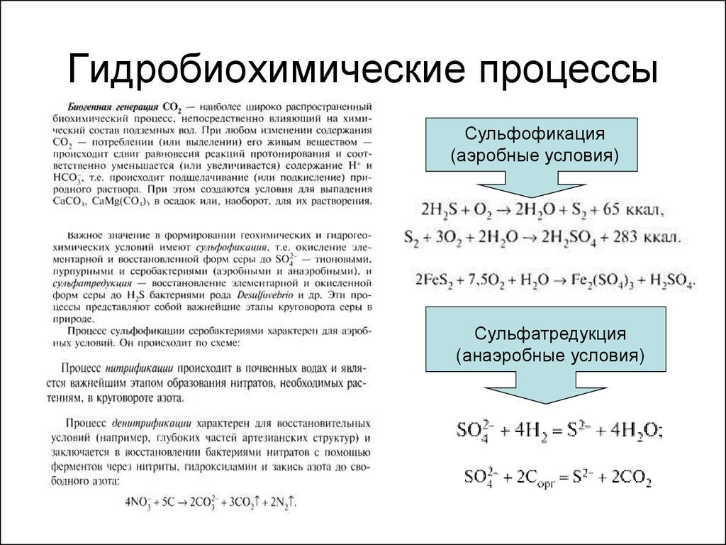 Развитие химических процессов. Сульфофикация. Диссимиляционная сульфатредукция. Сульфатредукция реакция. Схема сульфатредукции.