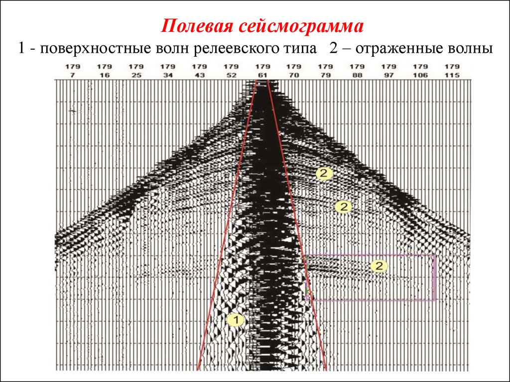 Полевая сейсмограмма 1 - поверхностные волн релеевского типа 2 – отраженные волны