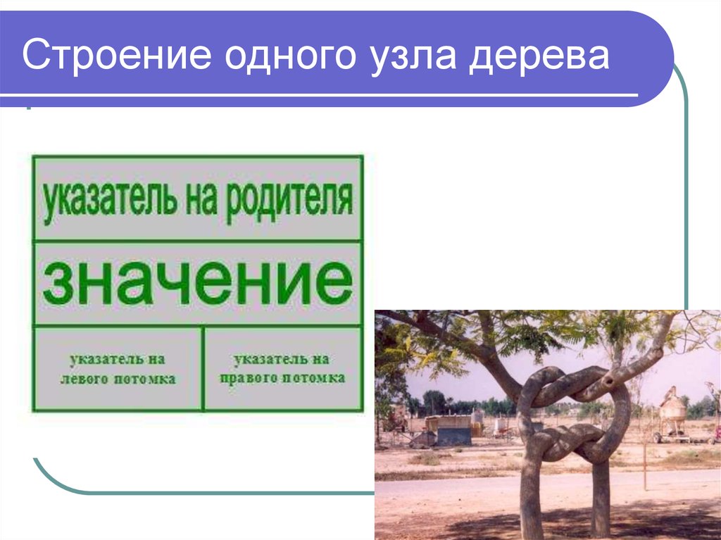 Поиск по значению. Как называется узел дерева, у которого нет потомков?. Узел дерева у которого нет предков.