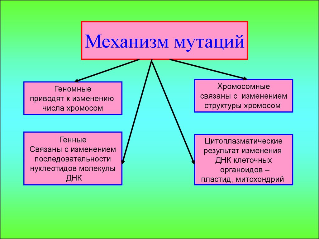 Виды мутаций презентация биология 10 класс