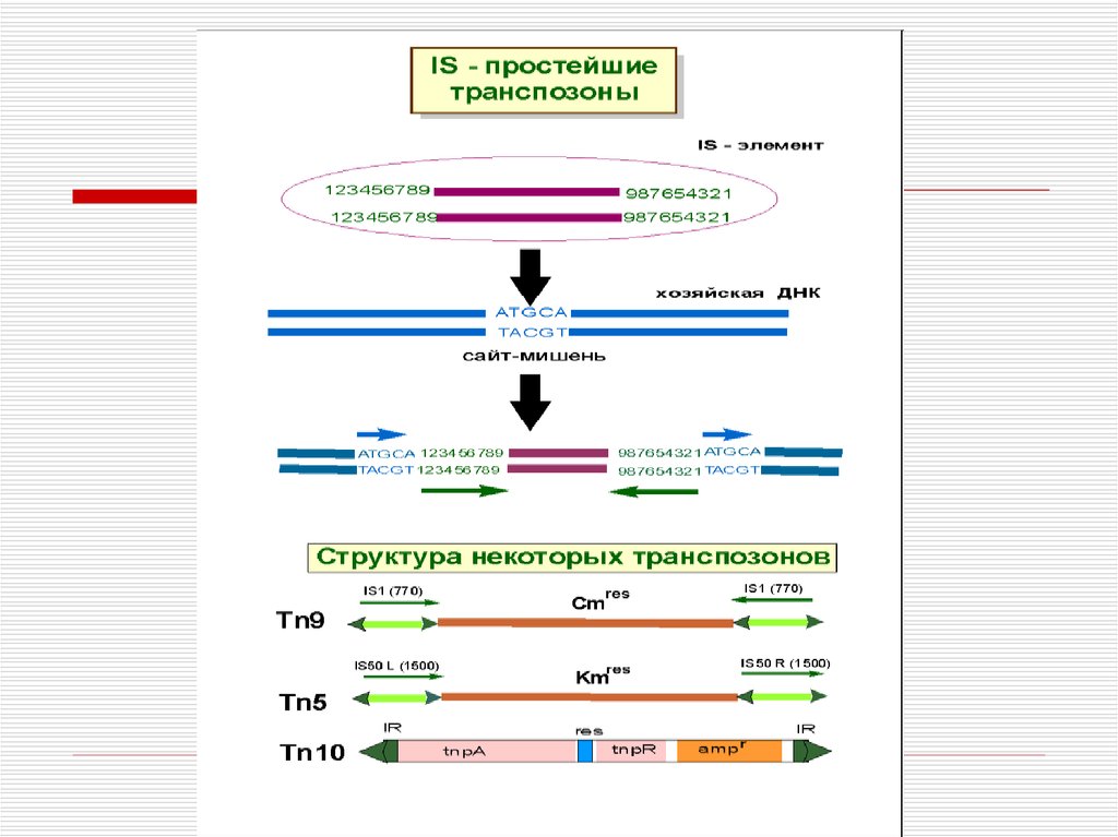 Структура xxi