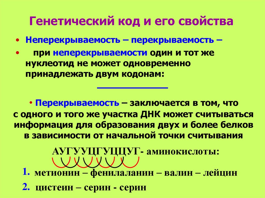 Генетический код презентация 10 класс биология