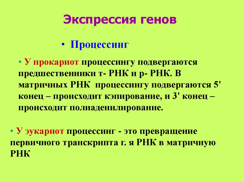 Что такое экспрессия генов