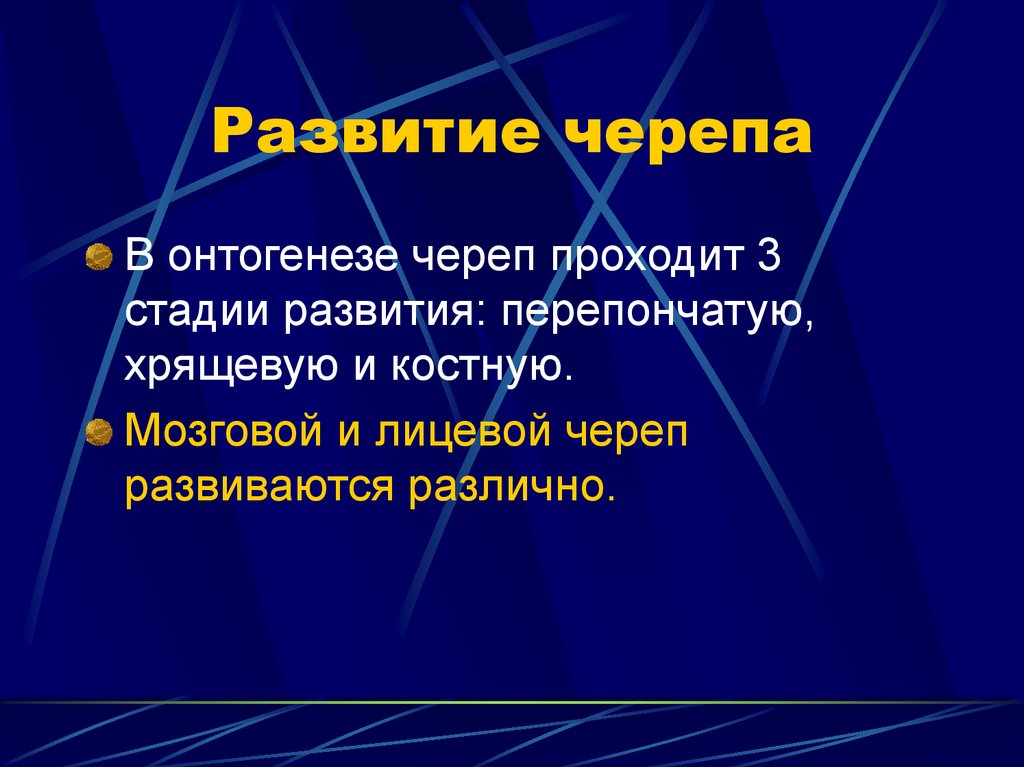 Развитие черепа в онтогенезе