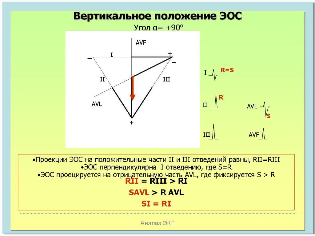 Вертикальная эос. Вертикальное расположение ЭОС. Вертикальная электрическая позиция сердца. Вертикальное положение электрической оси. Электрическая ось вертикальная.