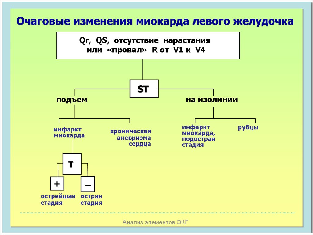 Алгоритм диагностики внезапной смерти схема