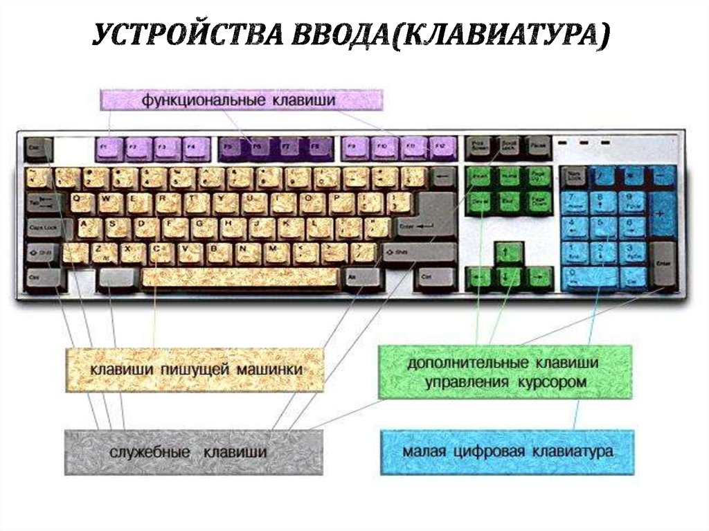 Элементы клавиши. Устройство клавиатуры Назначение клавиш. Строение клавиатуры. Строение компьютерной клавиатуры. Расположение кнопок на клаве.