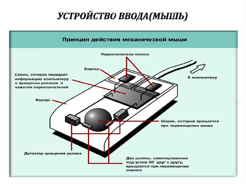 Чертеж компьютерной мыши