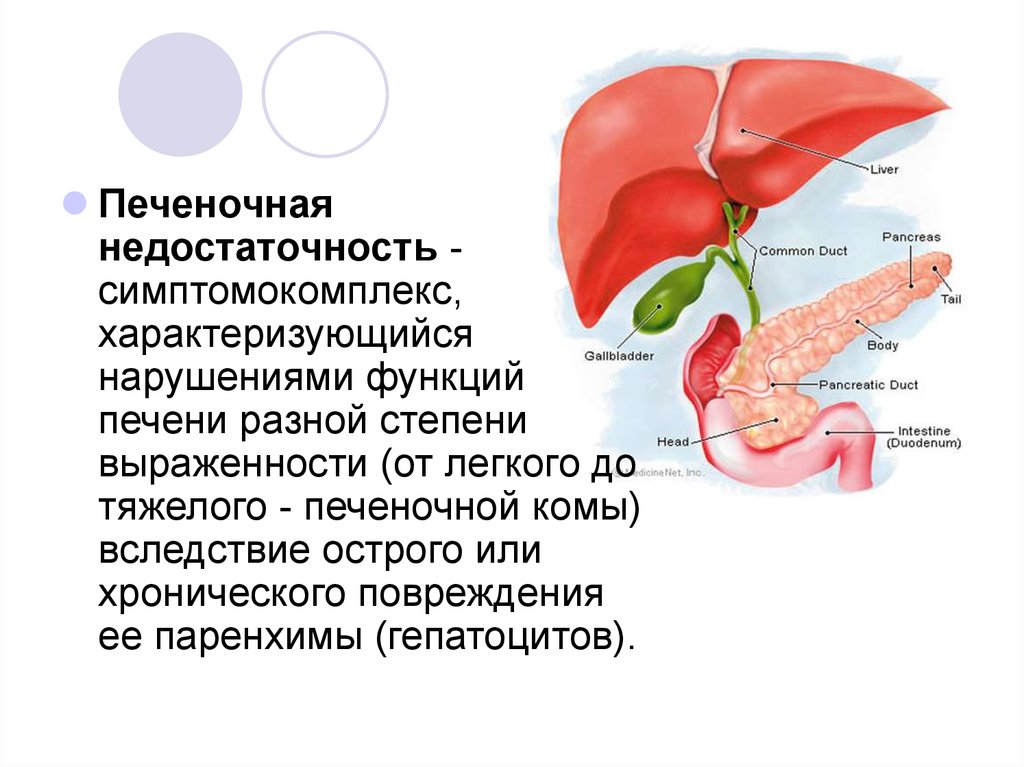 Признаки недостаточности печени