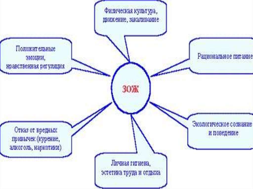 Карта здорового образа. Кластер здоровый образ жизни. Карта здорового образа жизни. Кластер по ЗОЖ. Кластер ЗОЖ для детей.