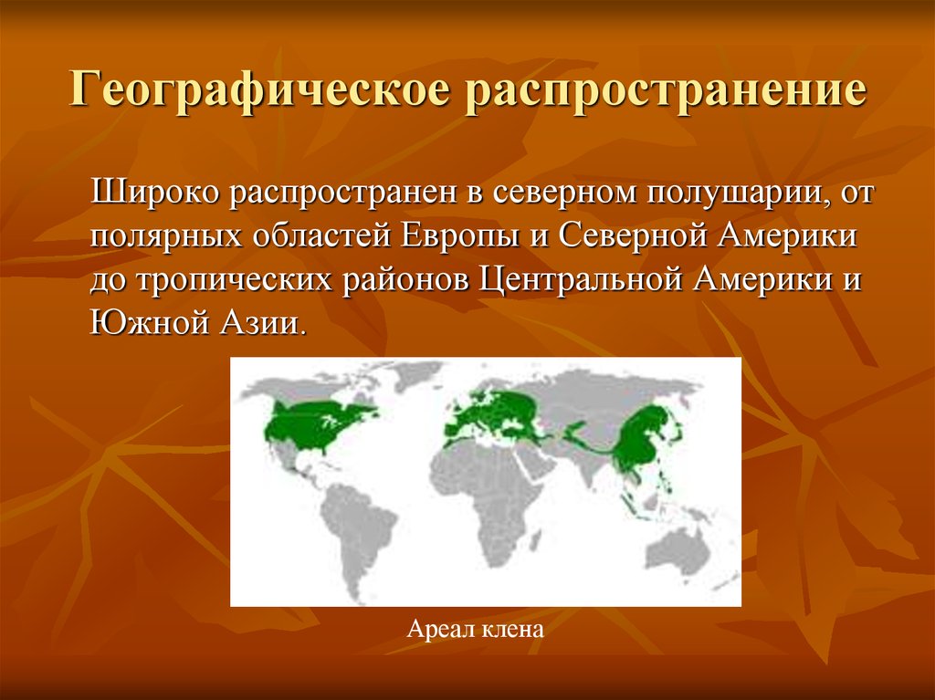 Распространение это. Географическое распространение. География распространения. Раса это в географии. Балантидий географическое распространение.