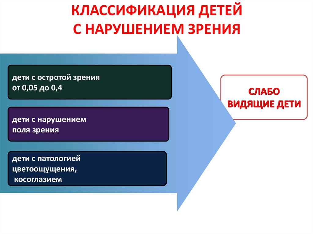 Специальное образование лиц с нарушением зрения презентация