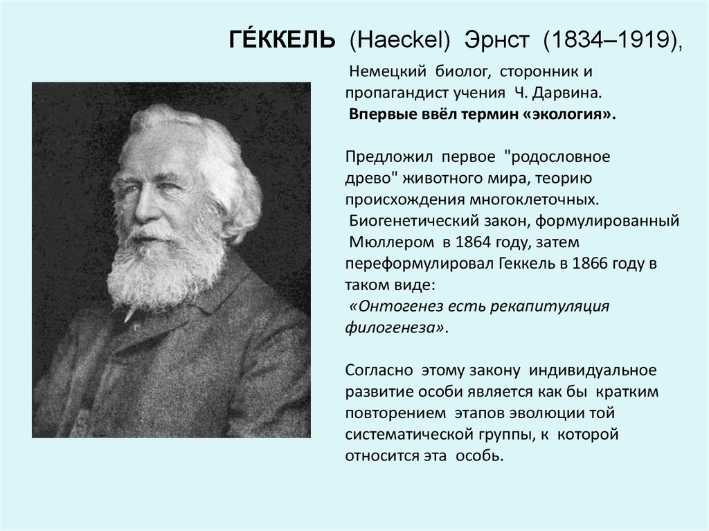 Кто предложил термин экология. Эрнст Геккель экология исследования. Дарвин, Геккель, Вернадский,. Эрнст Геккель онтогенез. Немецкий биолог Эрнст Геккель термин экология.