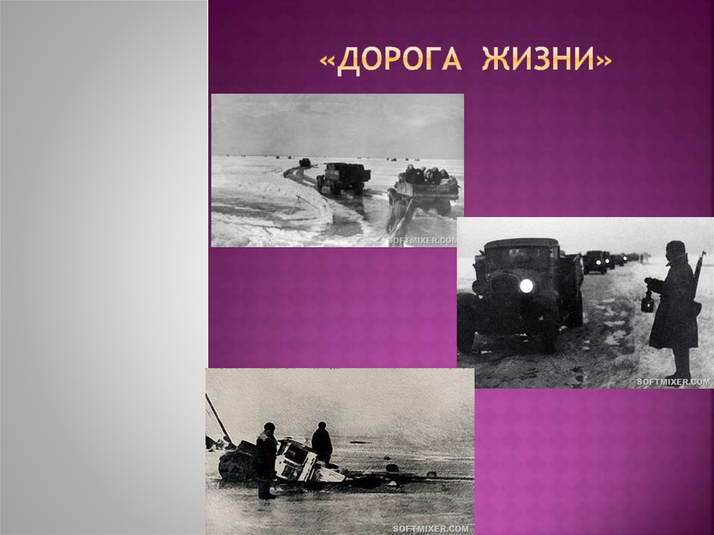 «Дорога Жизни»