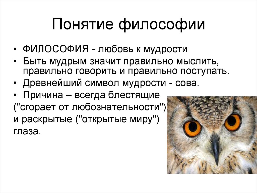 Концепция философов. Понятие философии. Понятие это в философии определение. Понятие философия означает. Понятие философии в философии.