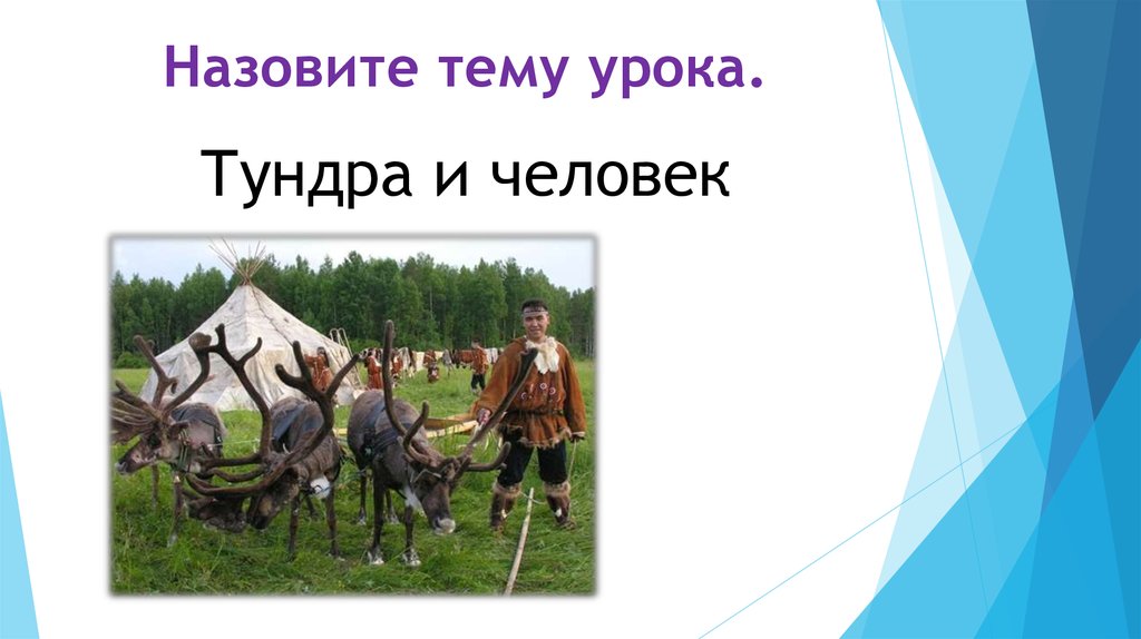 Как называется тема. Народы тундры 4 класс. Тундра и человек 4 класс. Тундра и человек презентация. Презентация на тему человек и тундра.