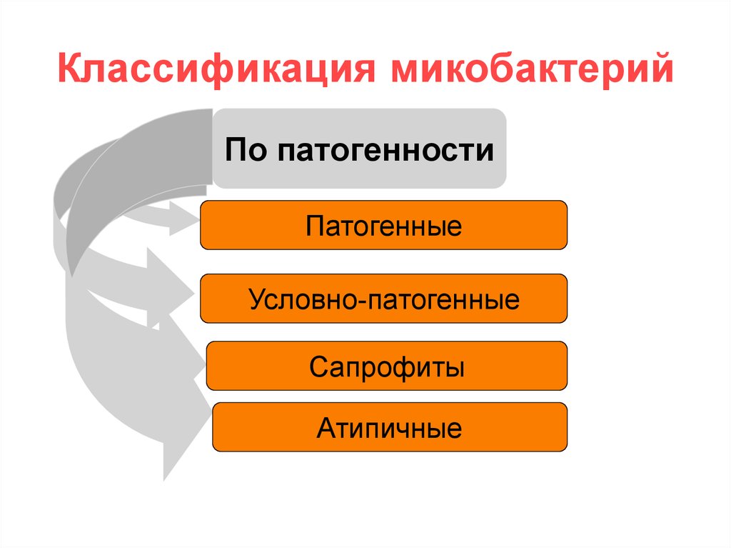 Патогенные микобактерии. Классификация микобактерий. Классификация патогенных микобактерий.. Условно патогенные микобактерии. Патогенные условно патогенные сапрофиты.