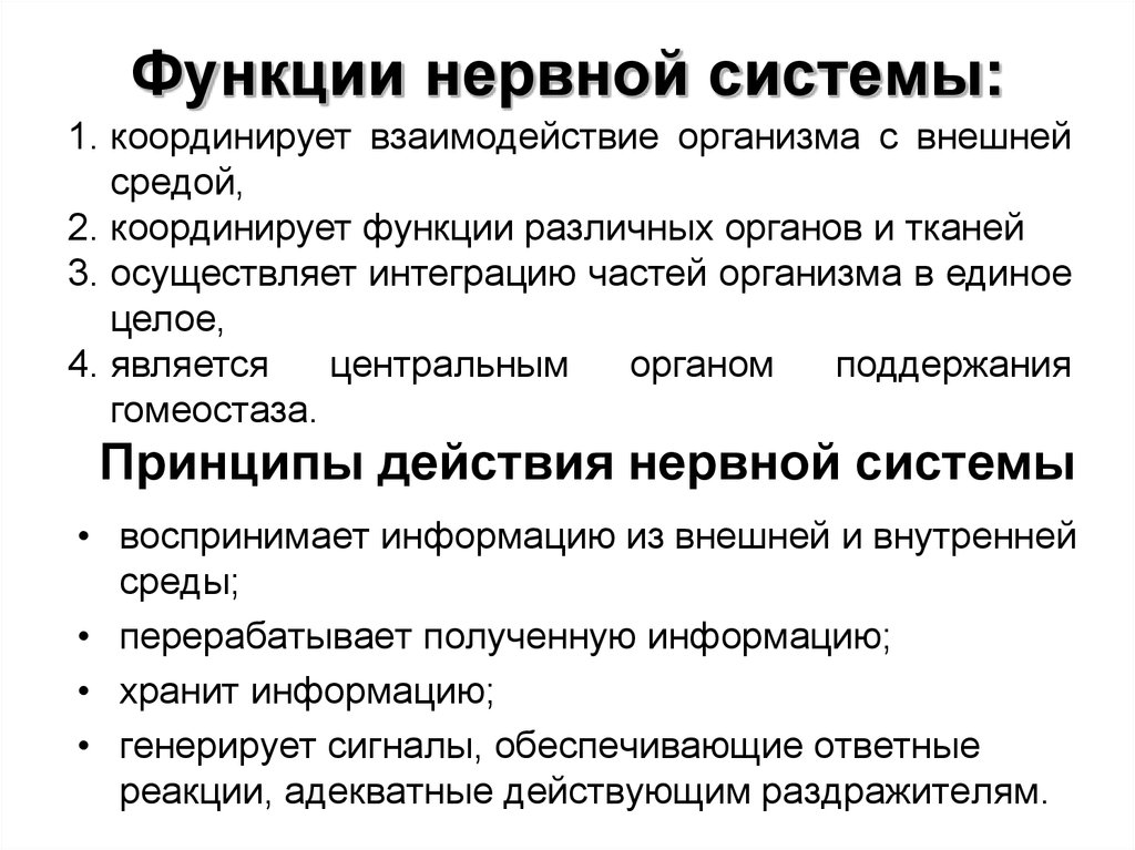 Каковы функции организма. Функции нервной системы человека кратко. Перечислите и охарактеризуйте функции нервной системы. Основные функции нервной системы человека кратко. К функциям нервной системы относятся.