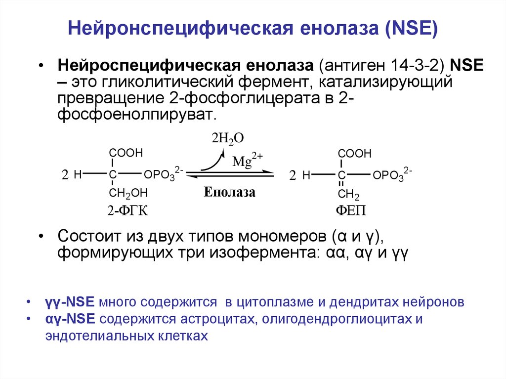 Нейронспецифическая енолаза (NSE)